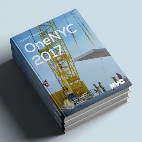 OneNYC 2015-2018 Reports Image