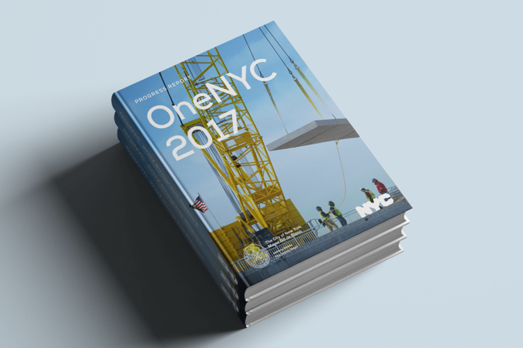 OneNYC 2015-2018 Reports Image